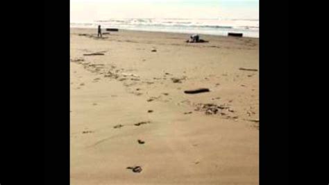 metal boxes on oregon coast|groundzero radio, strange metal boxes wash up on oregon beaches.